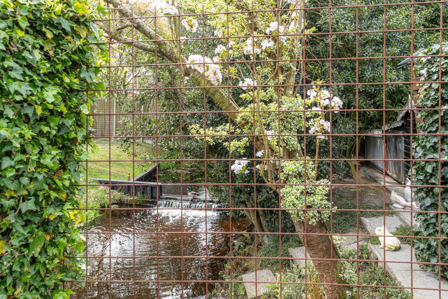 Foto 10 van De Tunen 4