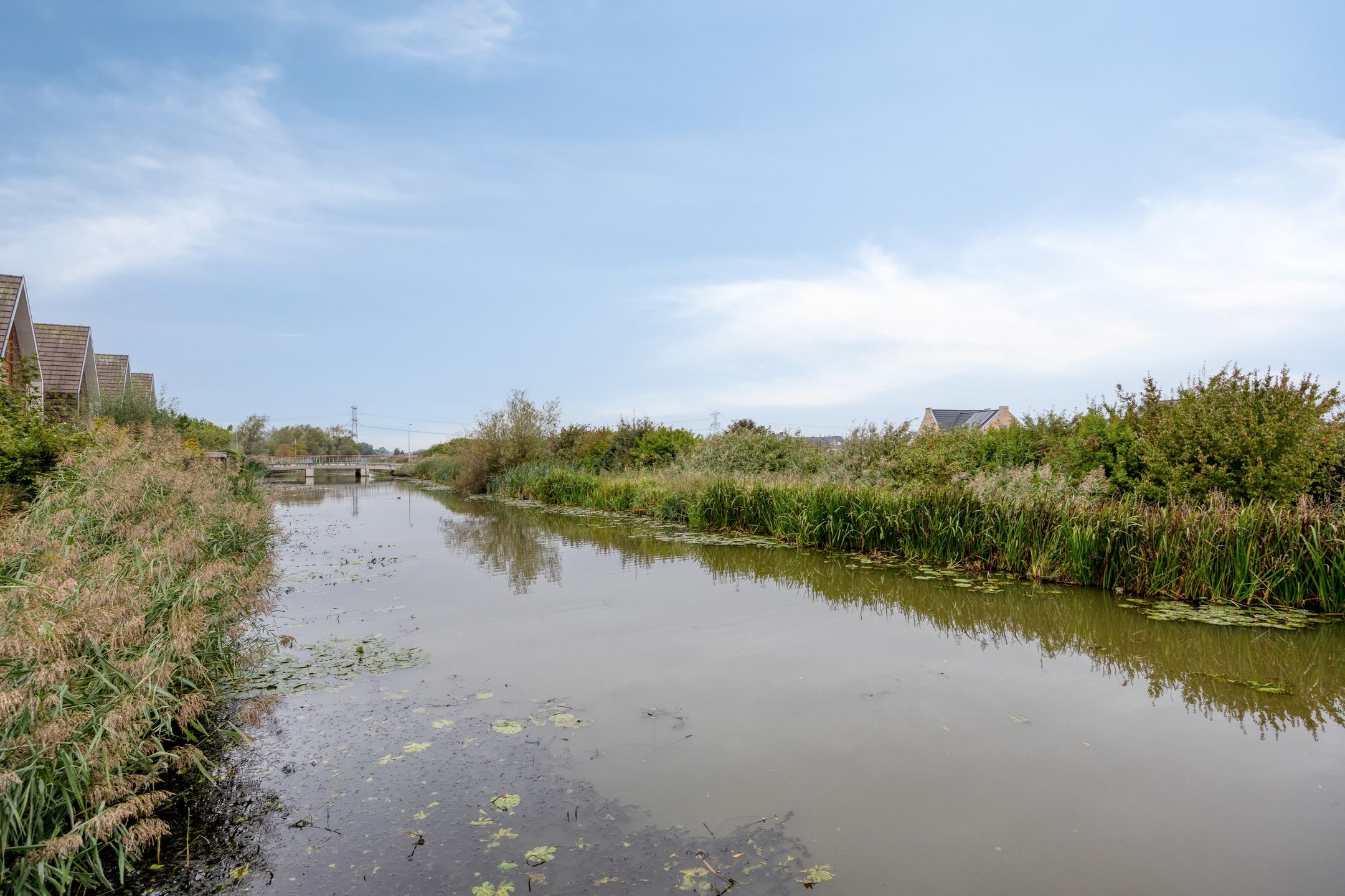 Foto 39 van Dieze 35