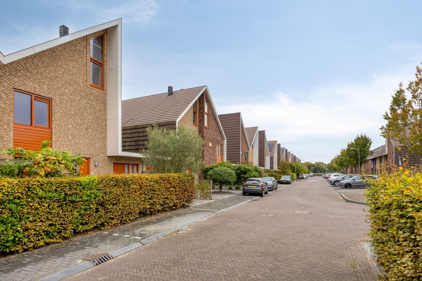 Foto 35 van Dieze 35