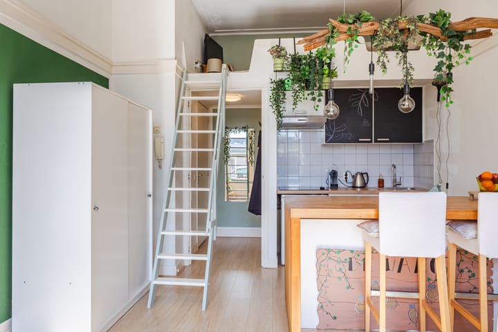 Foto 4 van De Savornin Lohmanstraat 19-C