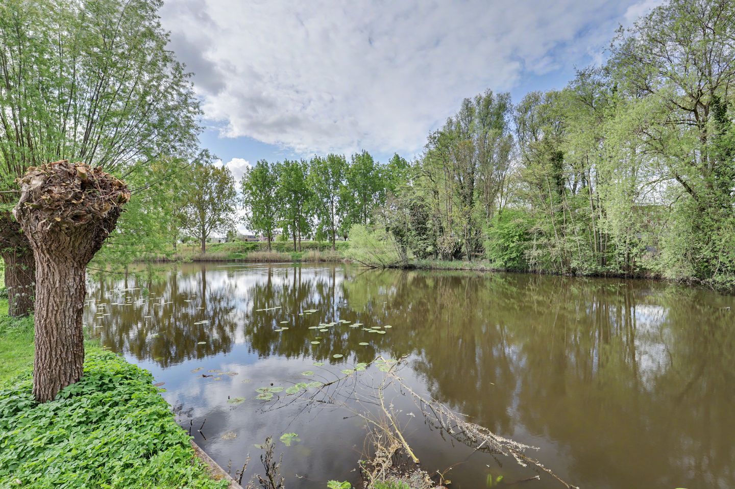 Foto 50 van Vondellaan 47