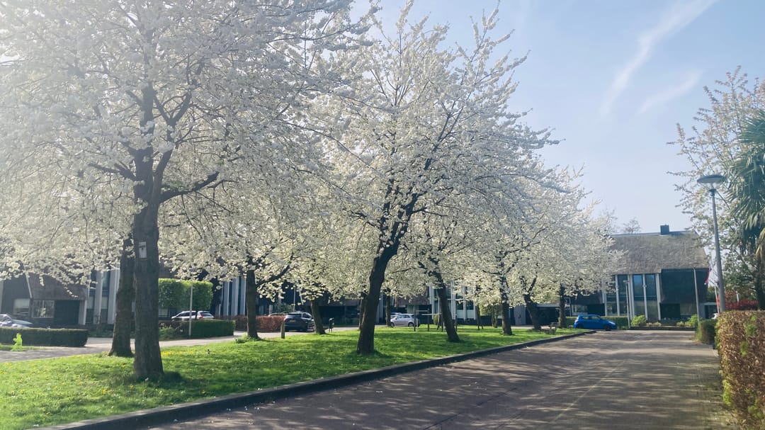 Foto 43 van Wessel Couzijnhof 39