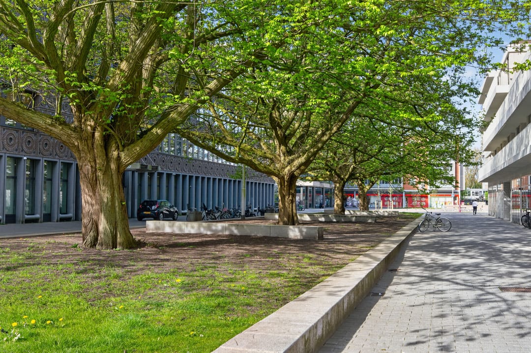 Foto 31 van Derkinderenstraat 49-P