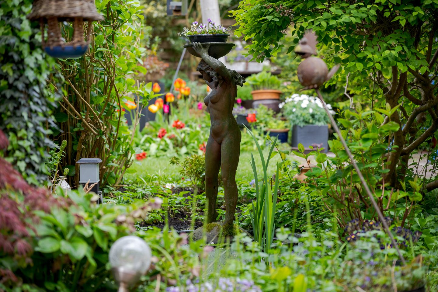 Foto 49 van Multatulilaan 5