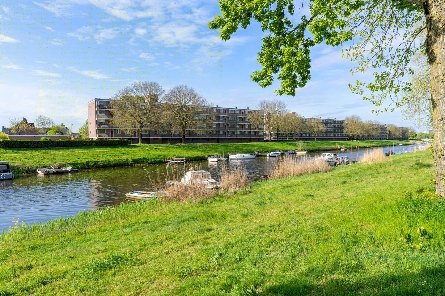 Photo 35 of Hesselsstraat 87