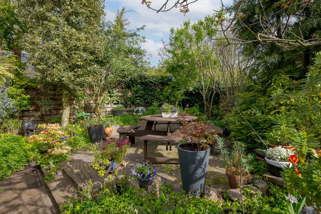 Foto 52 van Multatulilaan 5