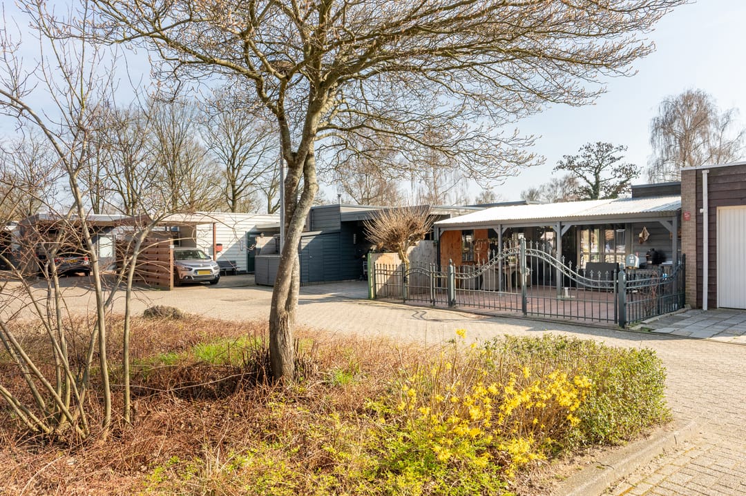 Foto 31 van Torflang 91