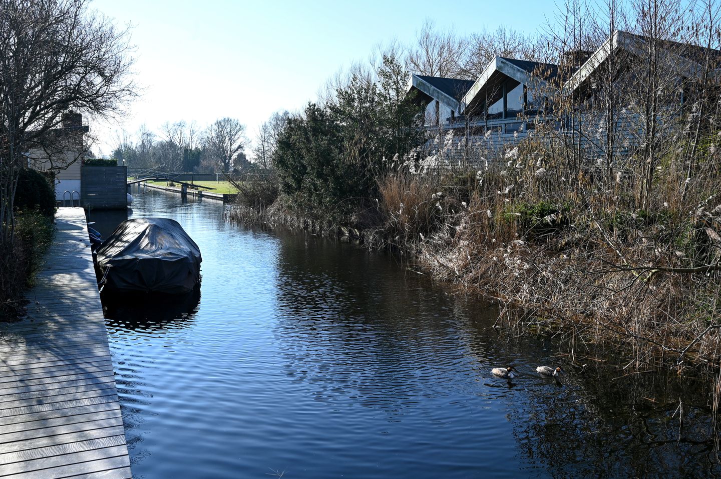 Foto 19 van Groenlandse kade 59-4AP