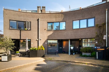 Gele Plomp thumbnail