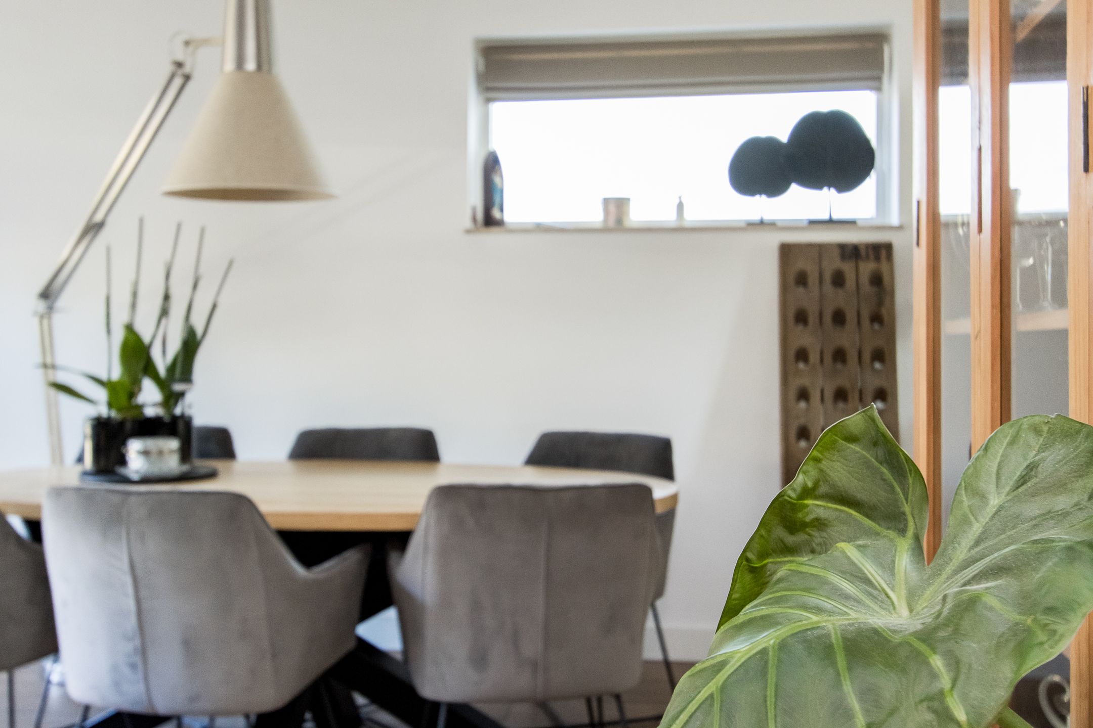 Foto 18 van Buitentuin 108