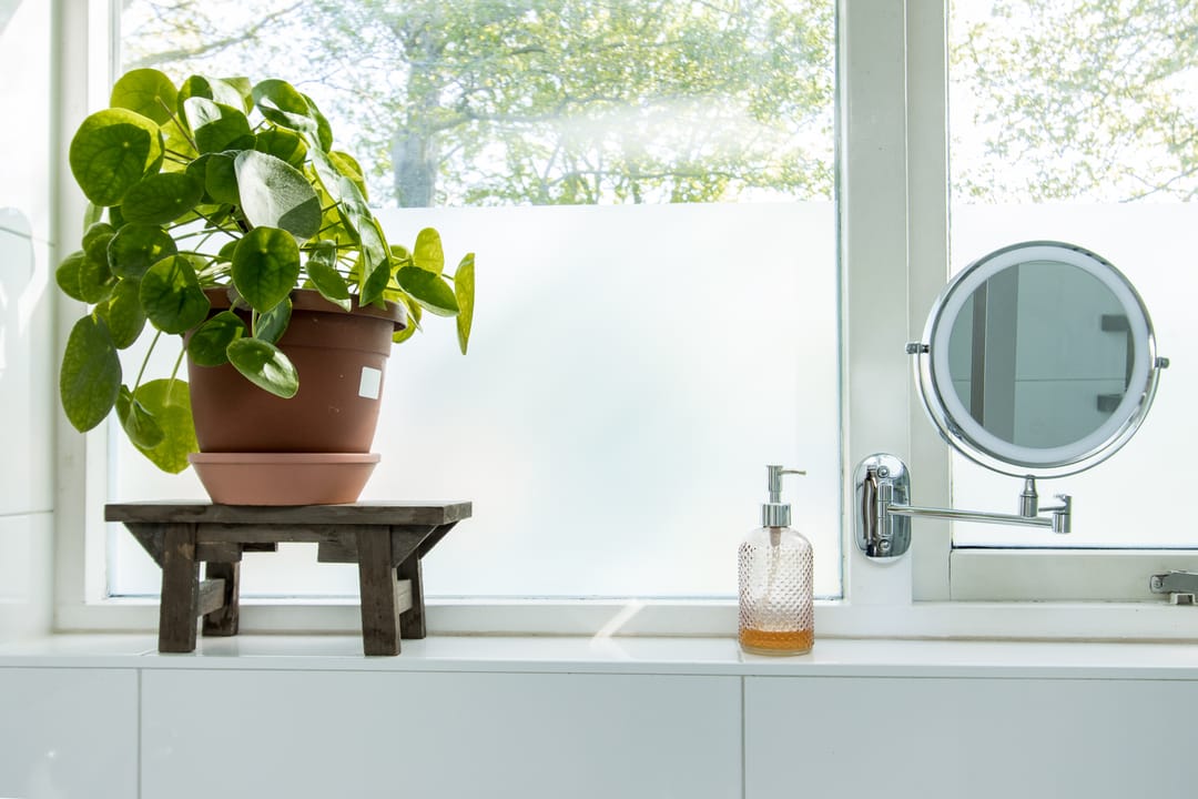 Foto 37 van Buitentuin 108