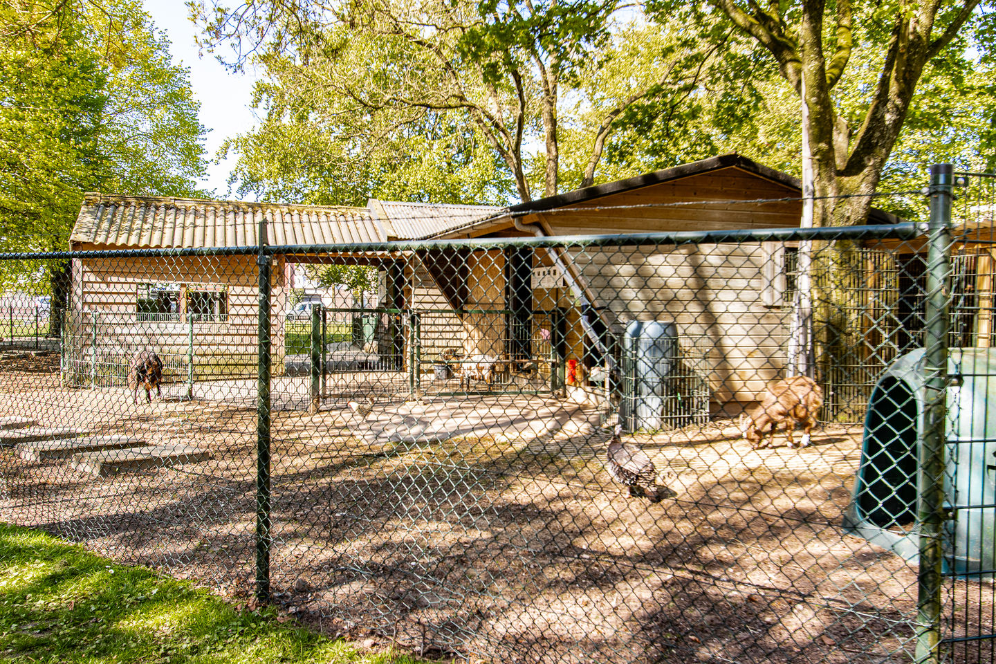 Foto 64 van Buitentuin 108