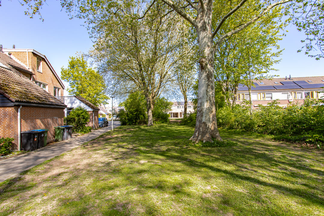 Foto 62 van Buitentuin 108