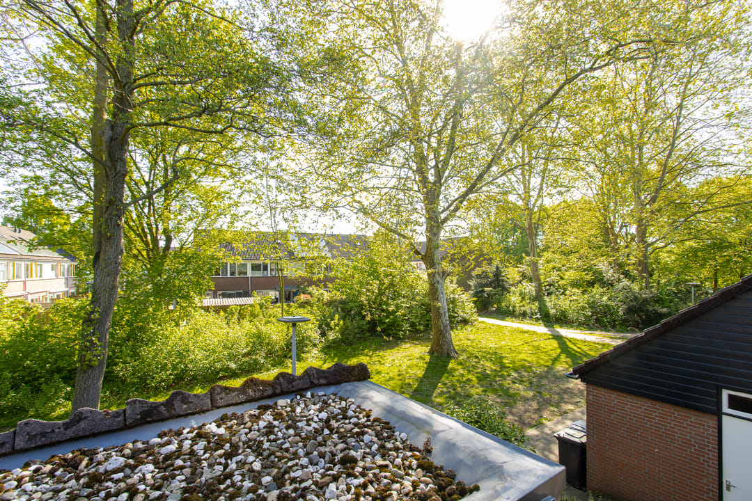 Foto 28 van Buitentuin 108