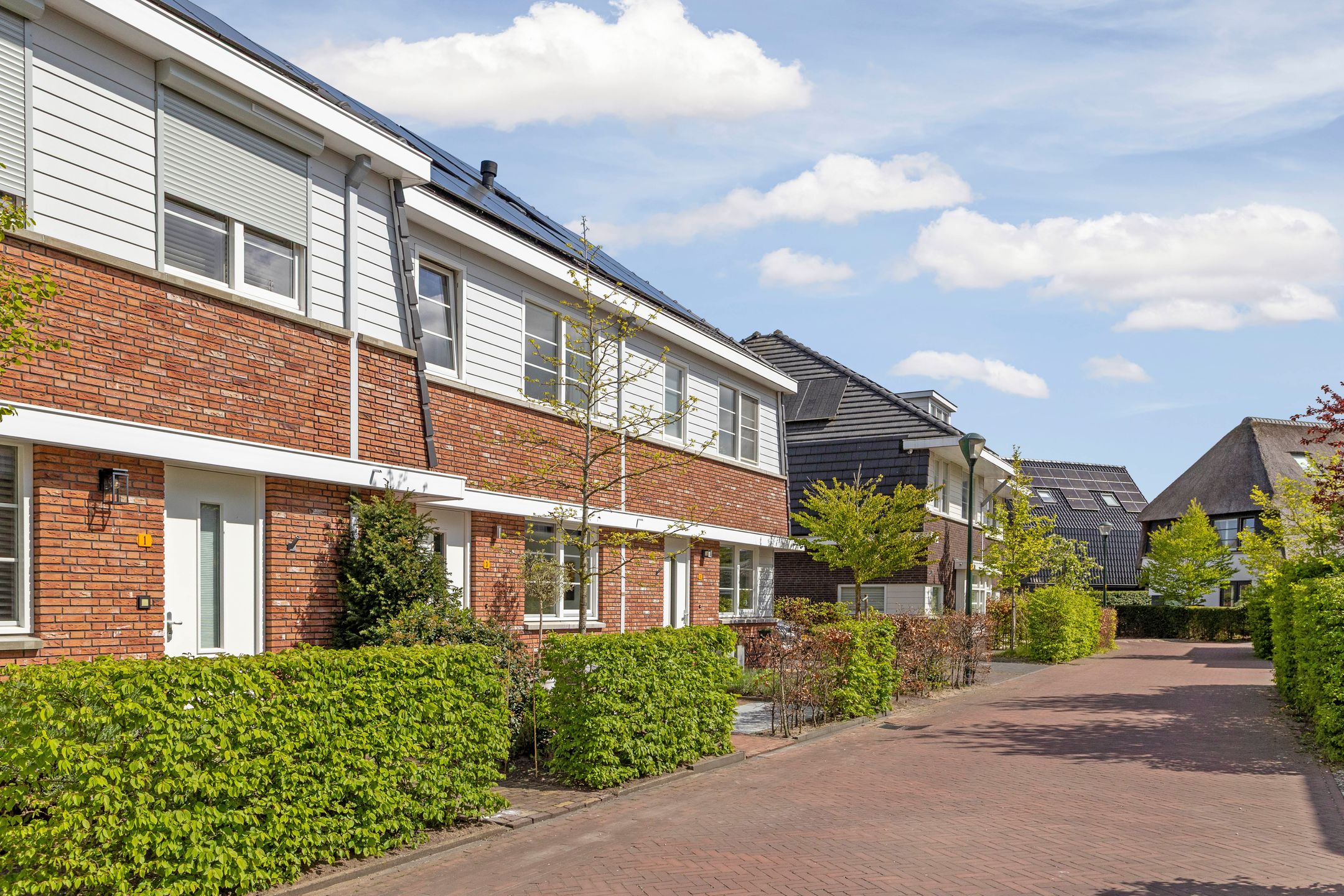 Foto 57 van Adama van Scheltemalaan 3