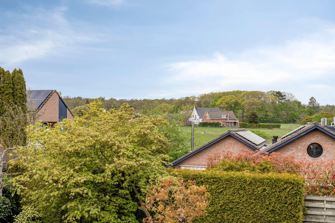 Foto 23 van De Driekoningen 3