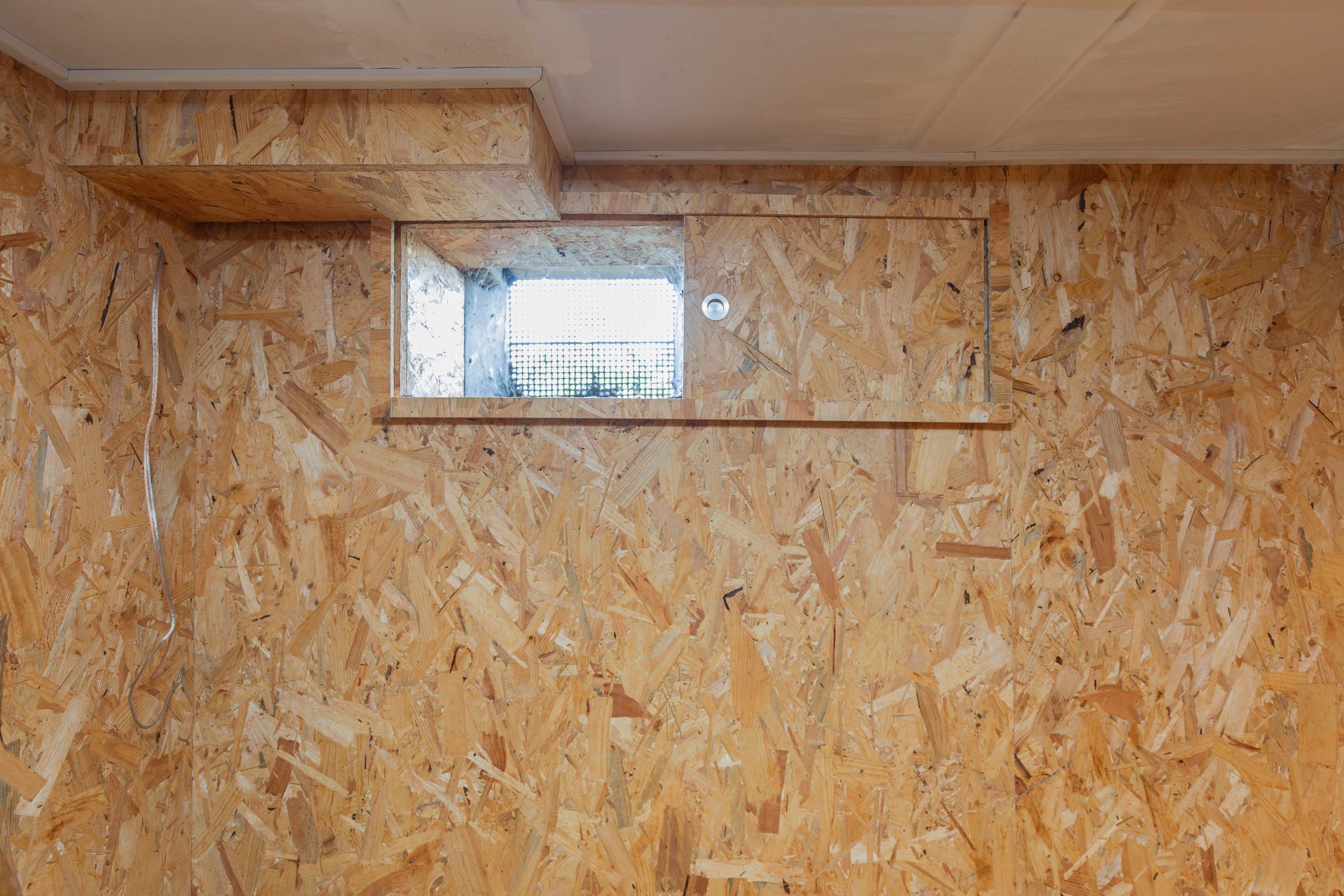 Photo 51 of Zuiderstek 18