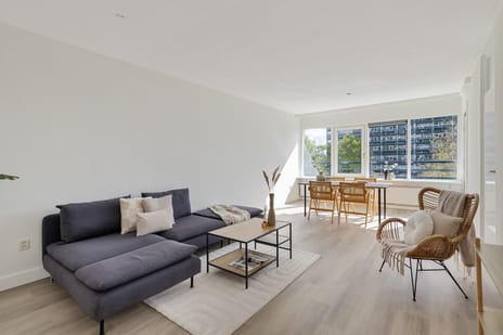 Lamérislaan thumbnail