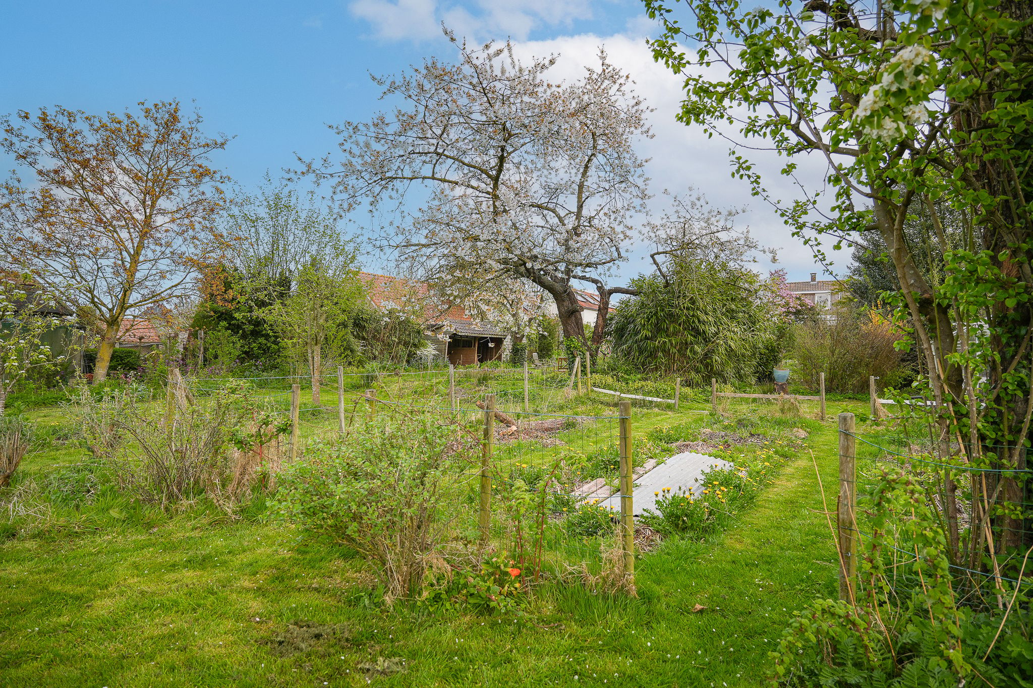 Detached Family Home with Park-Like Garden and Guest Accommodation — 66
