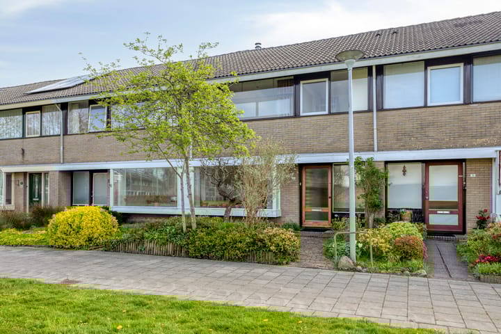 Foto 3 van Treubstraat 29