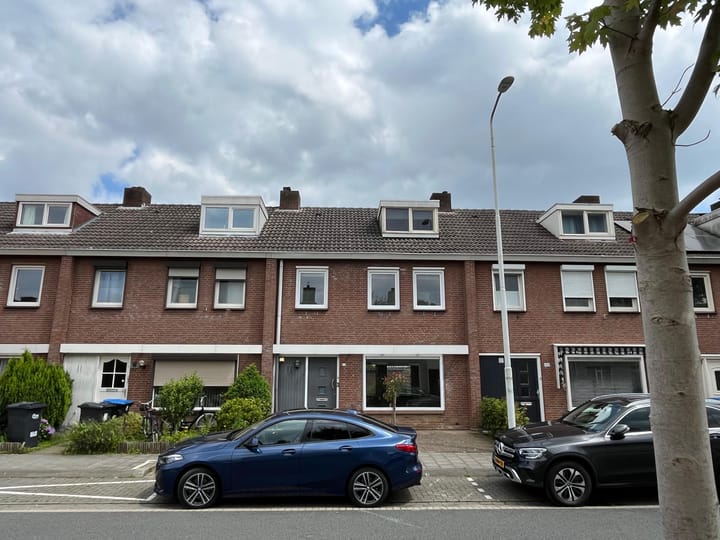 De Stoutheuvel 146