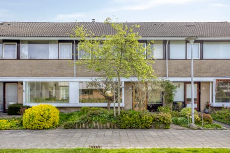 Treubstraat thumbnail