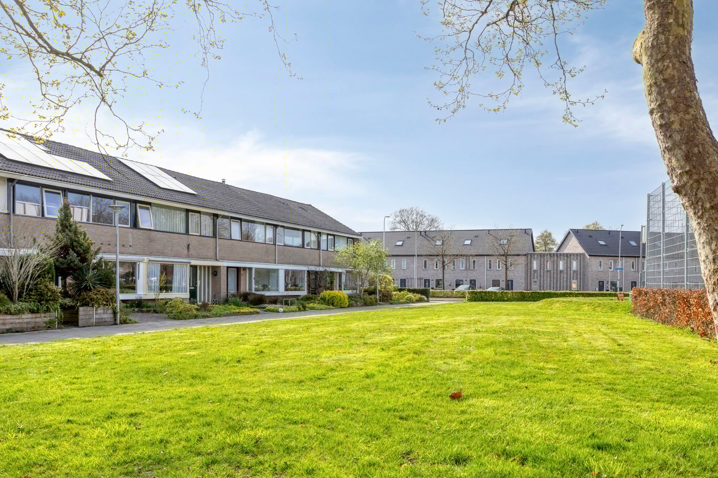 Foto 49 van Treubstraat 29