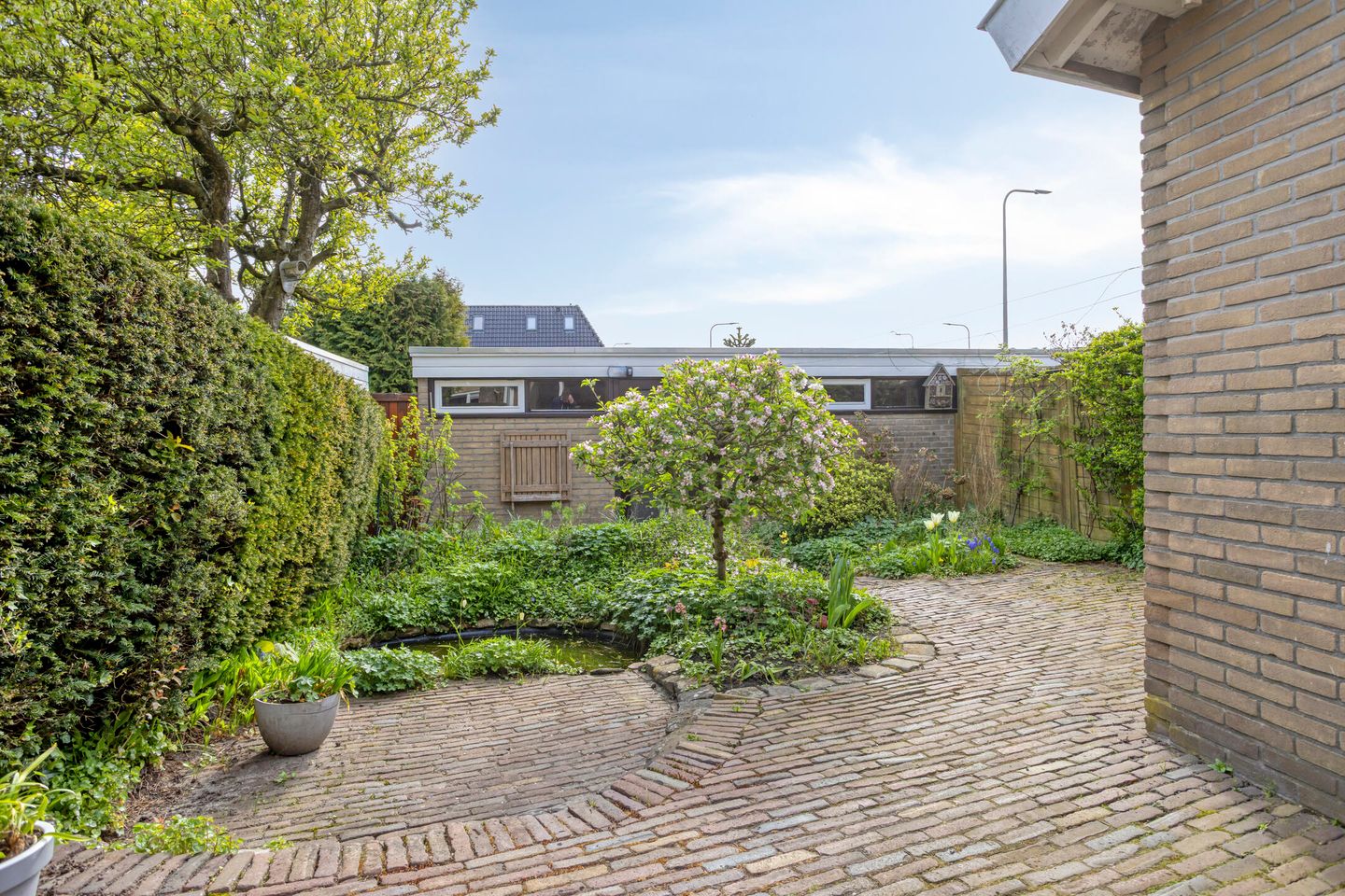 Foto 19 van Treubstraat 29