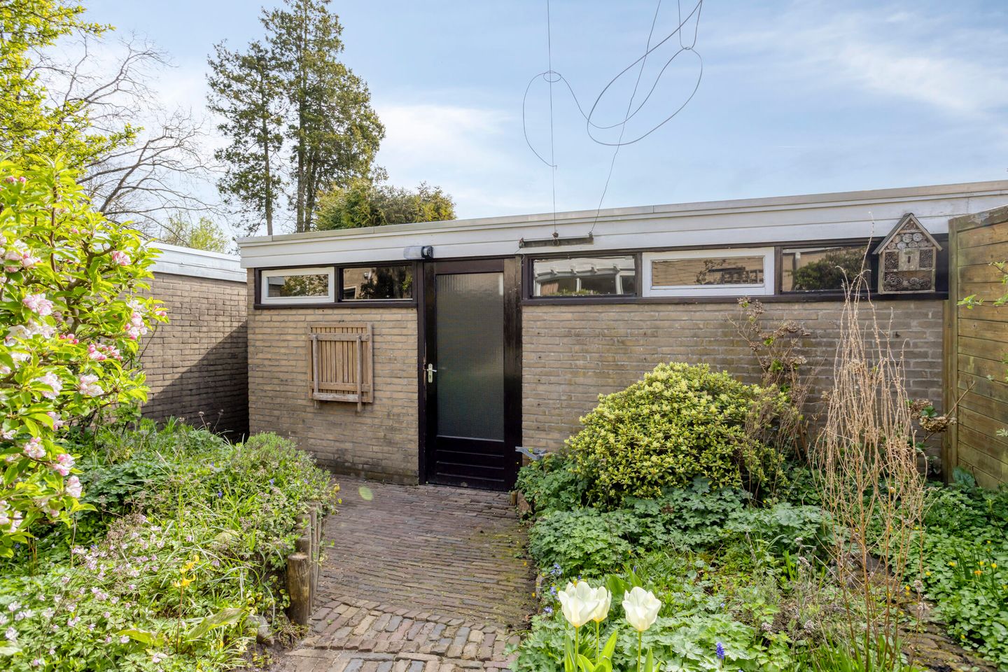 Foto 20 van Treubstraat 29