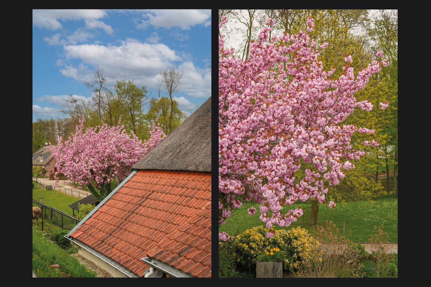 Detached Dike Farmhouse with Large Plot in Rural Appeltern — 59