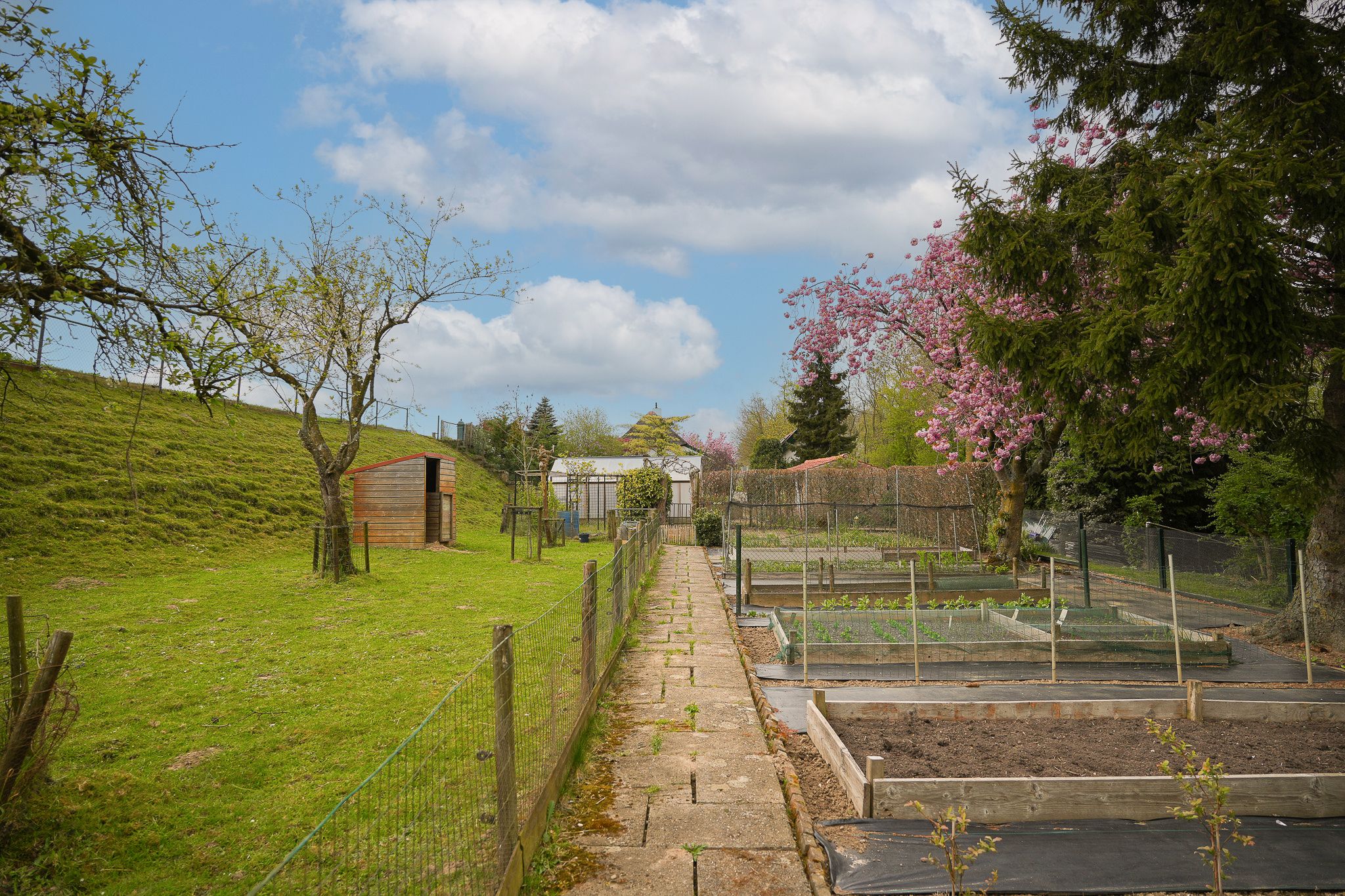 Detached Dike Farmhouse with Large Plot in Rural Appeltern — 42