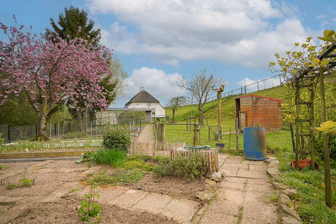 Detached Dike Farmhouse with Large Plot in Rural Appeltern — 41