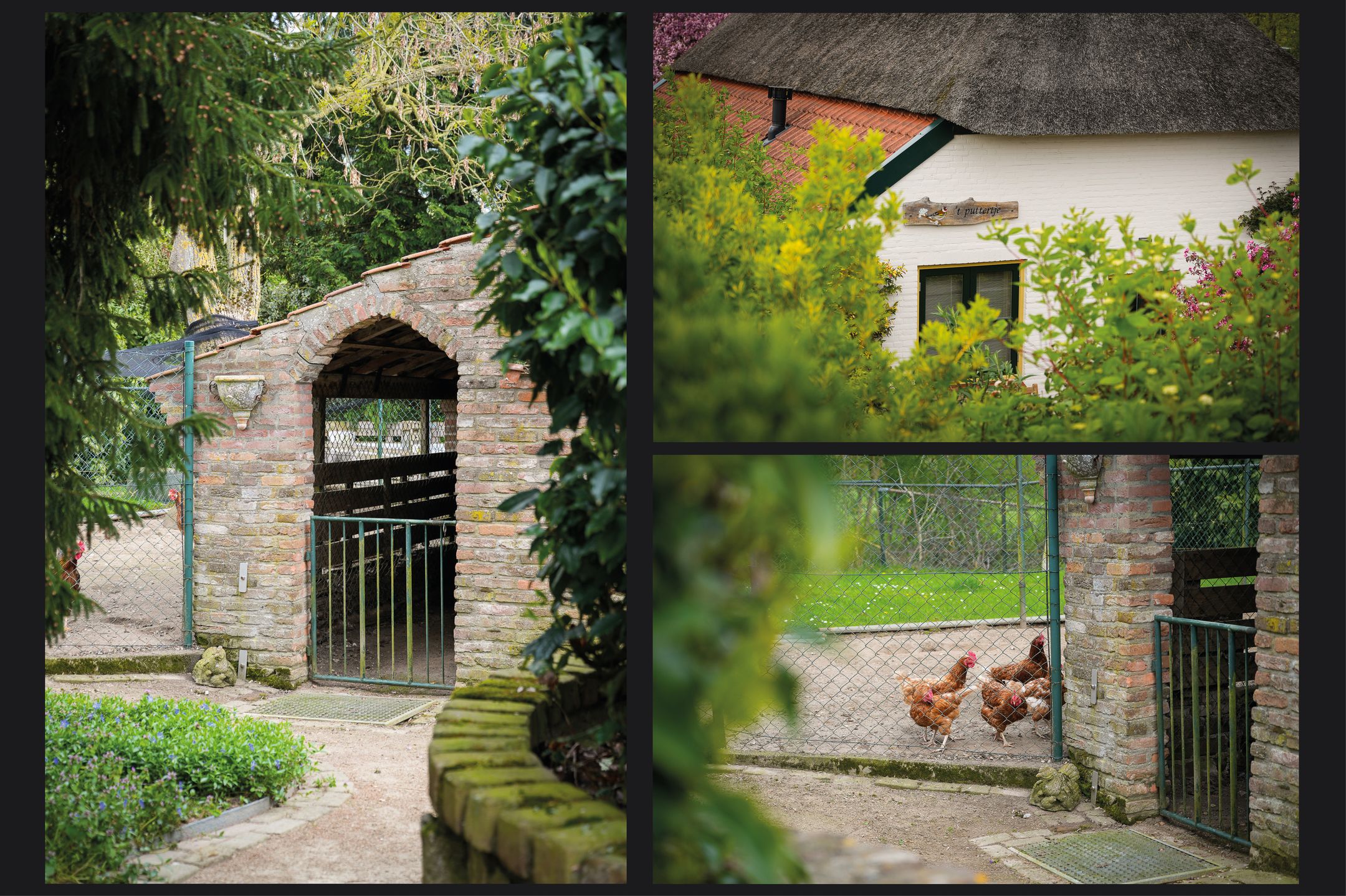 Detached Dike Farmhouse with Large Plot in Rural Appeltern — 36