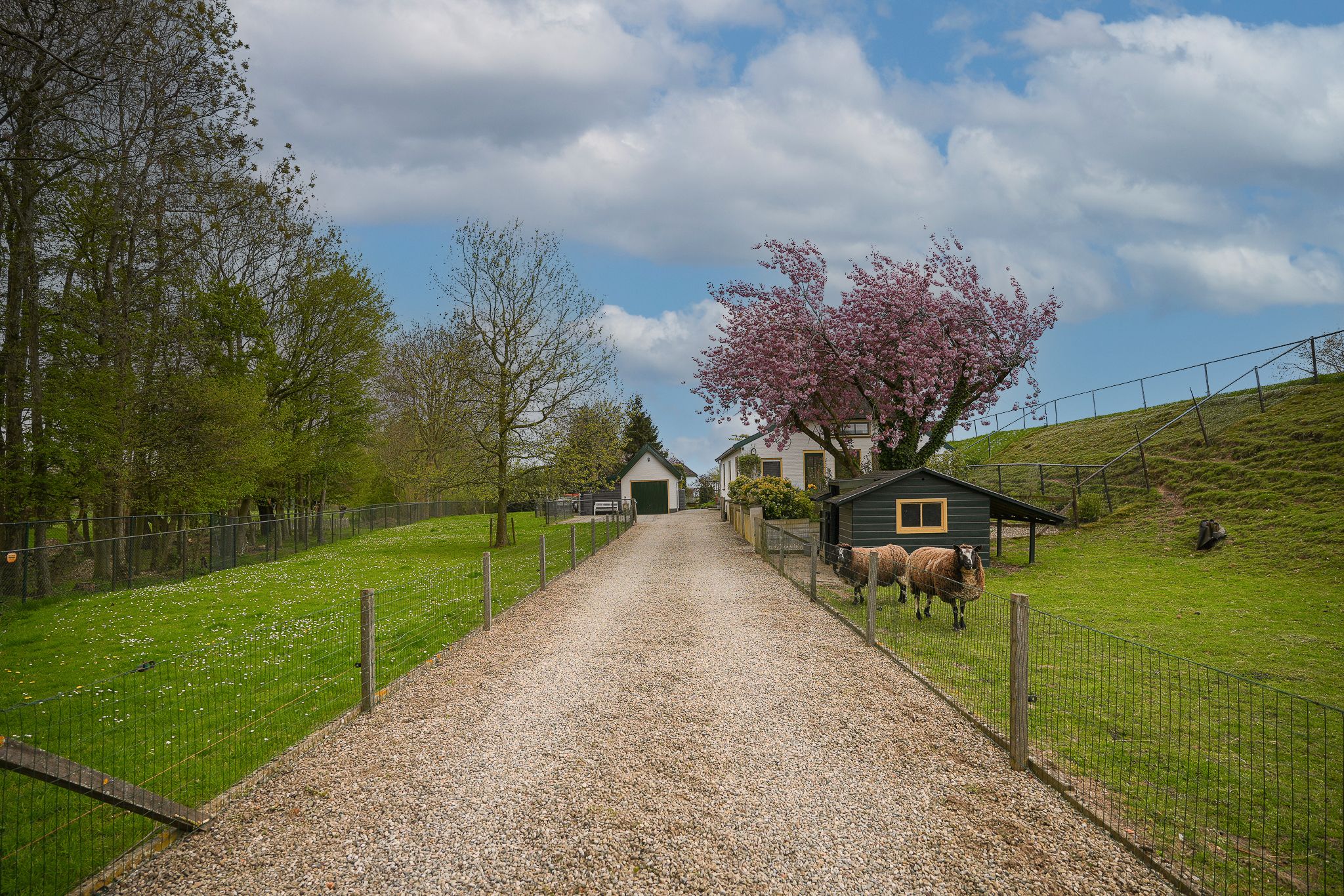 Detached Dike Farmhouse with Large Plot in Rural Appeltern — 54