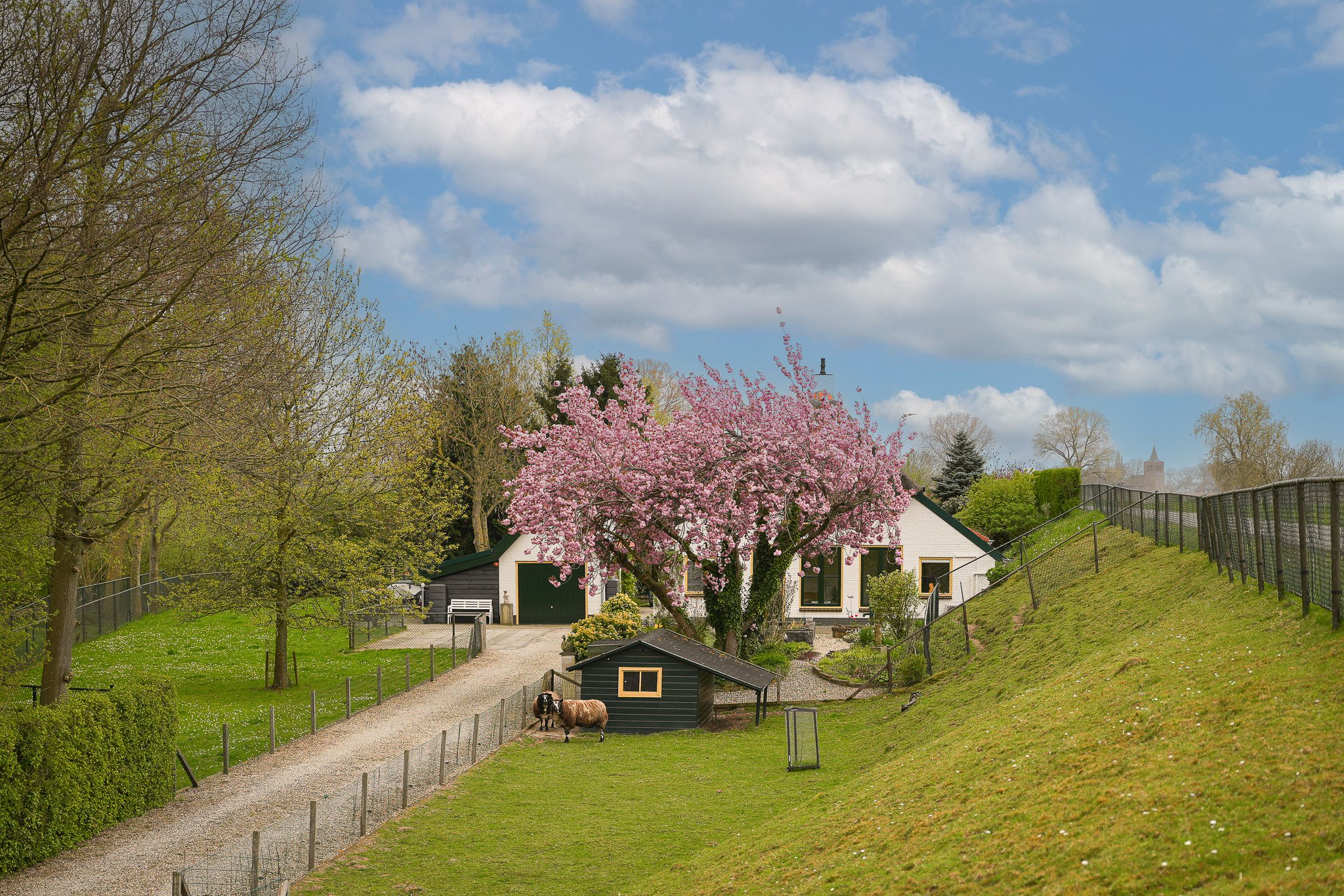 Detached Dike Farmhouse with Large Plot in Rural Appeltern — 57