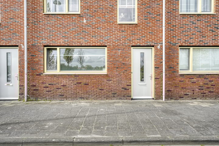 Photo 4 of Parnassia 407