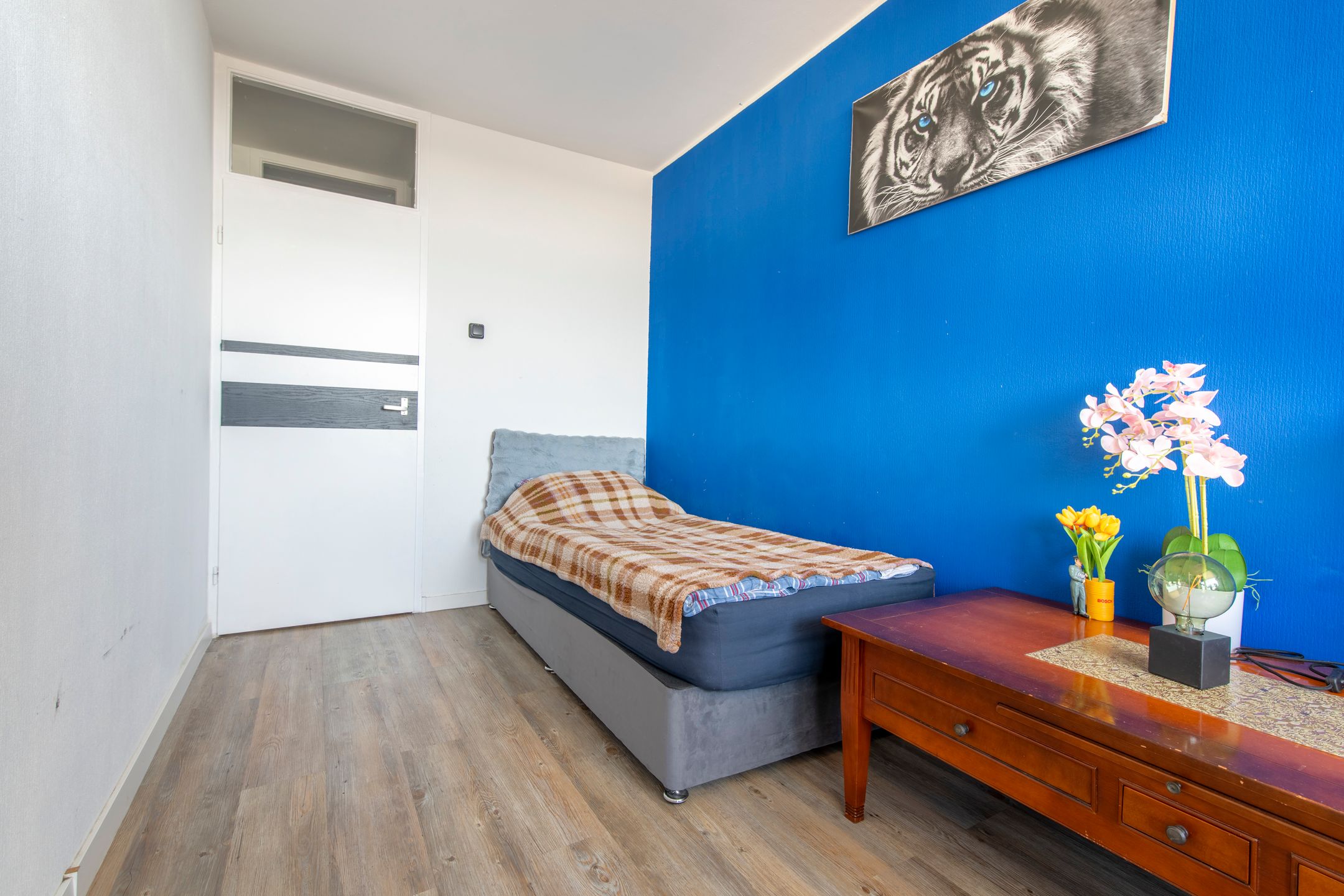 Foto 12 van De Grote Pekken 548