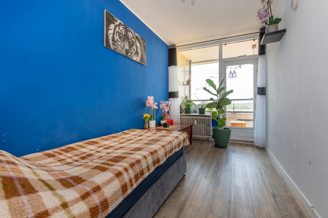 Foto 13 van De Grote Pekken 548