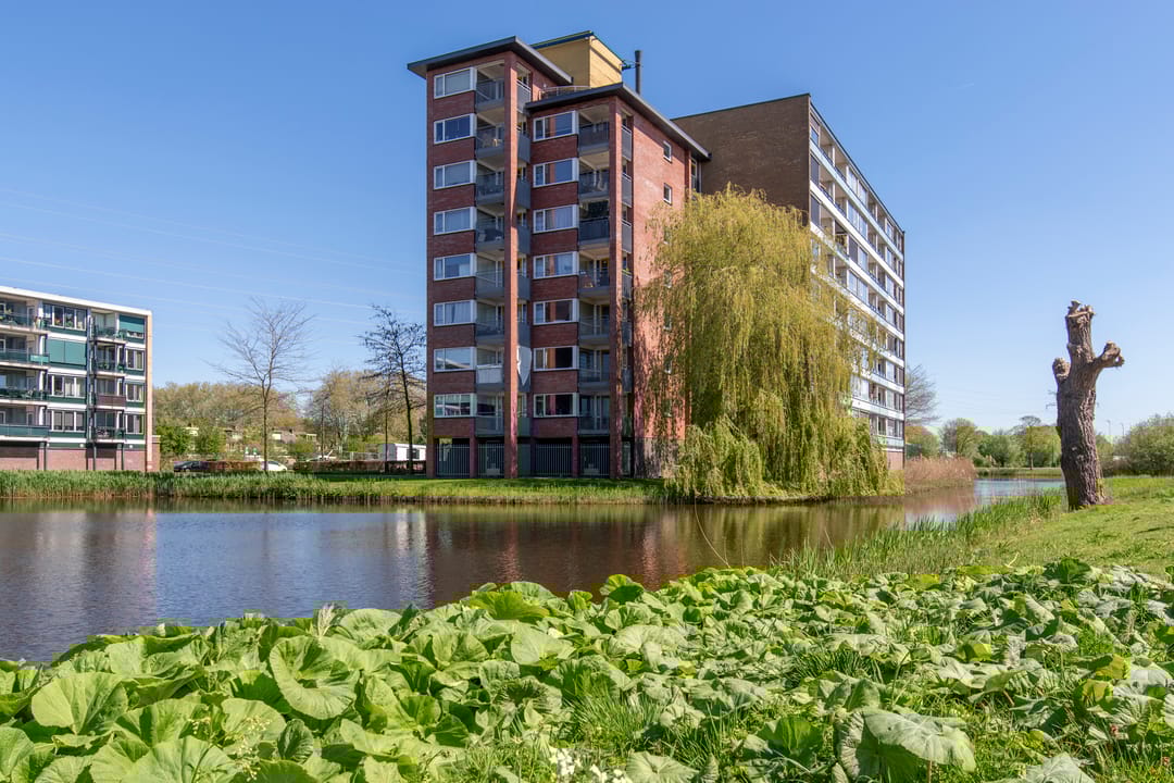 Foto 26 van De Grote Pekken 548