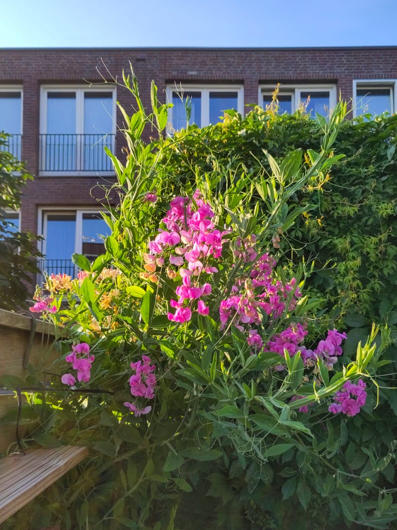 Foto 35 van Kastanjestraat 27