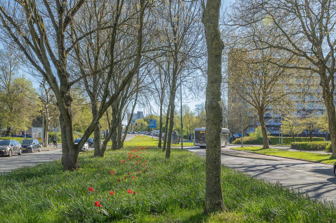 Foto 43 van Jadestraat 28-2