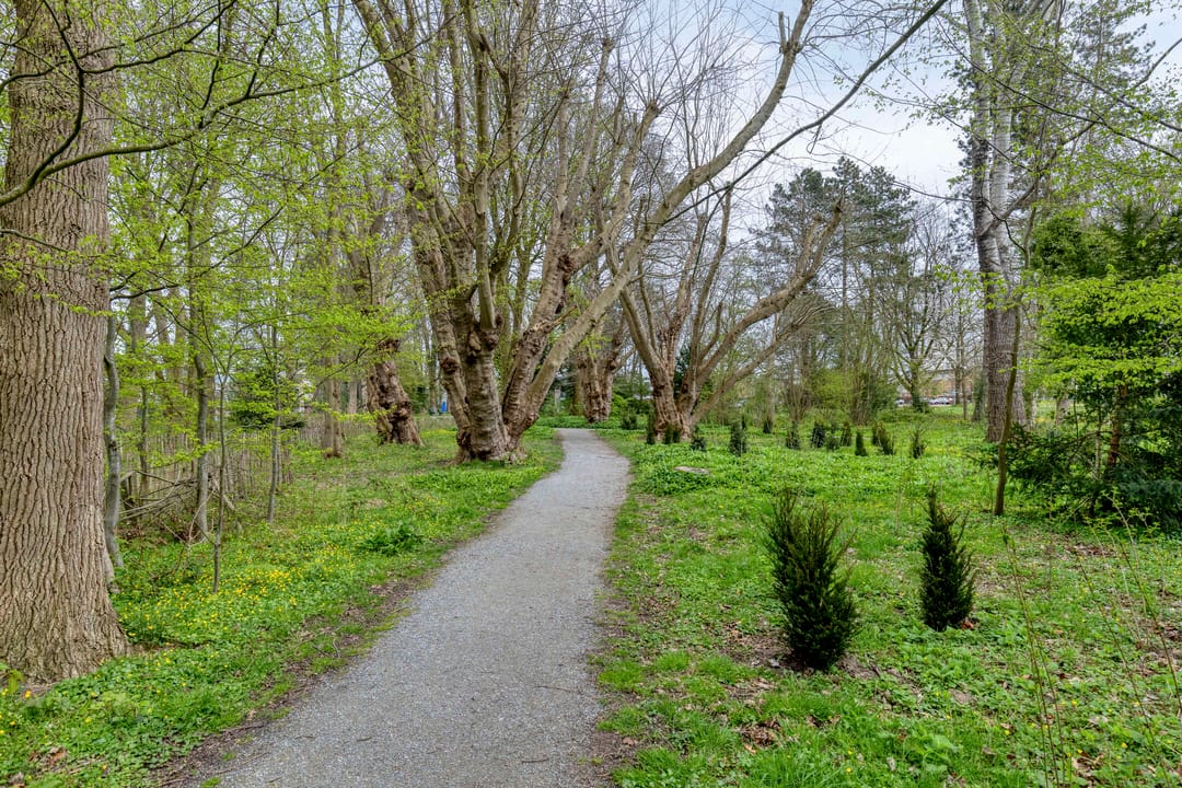 Foto 41 van Da Costalaan 10