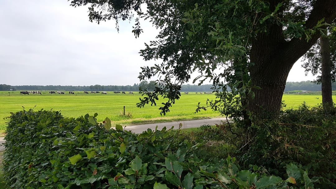 Photo 43 of Venneweg 4