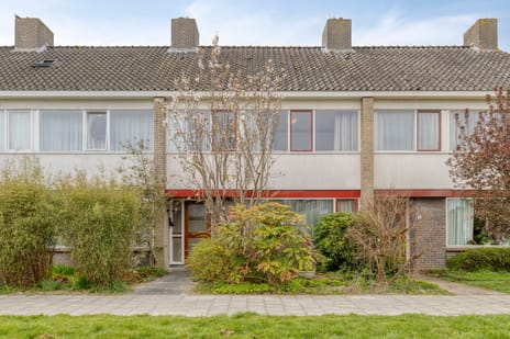 Da Costalaan thumbnail