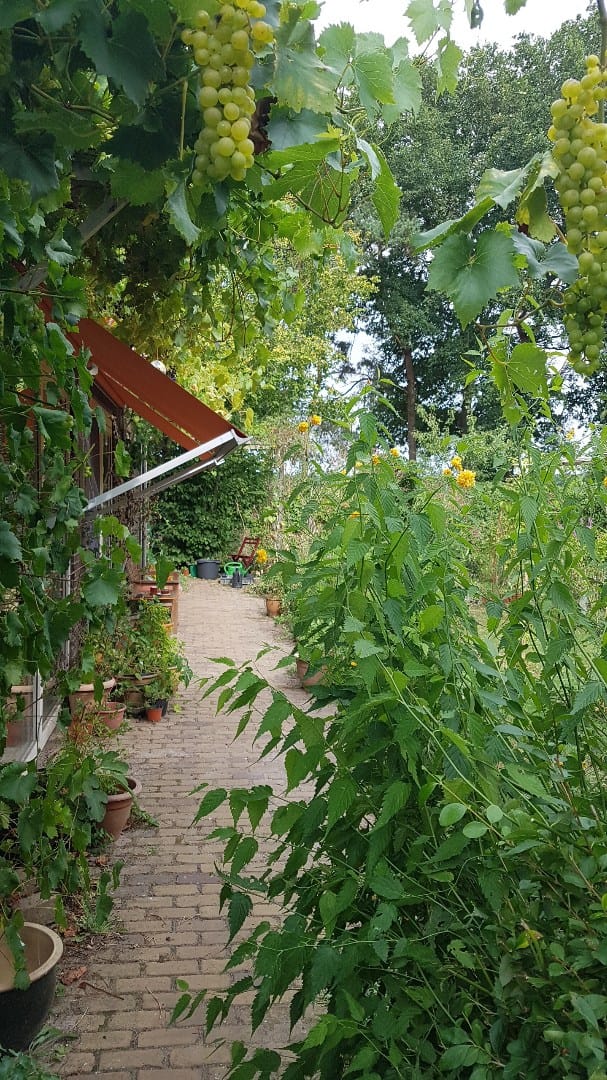 Photo 39 of Venneweg 4