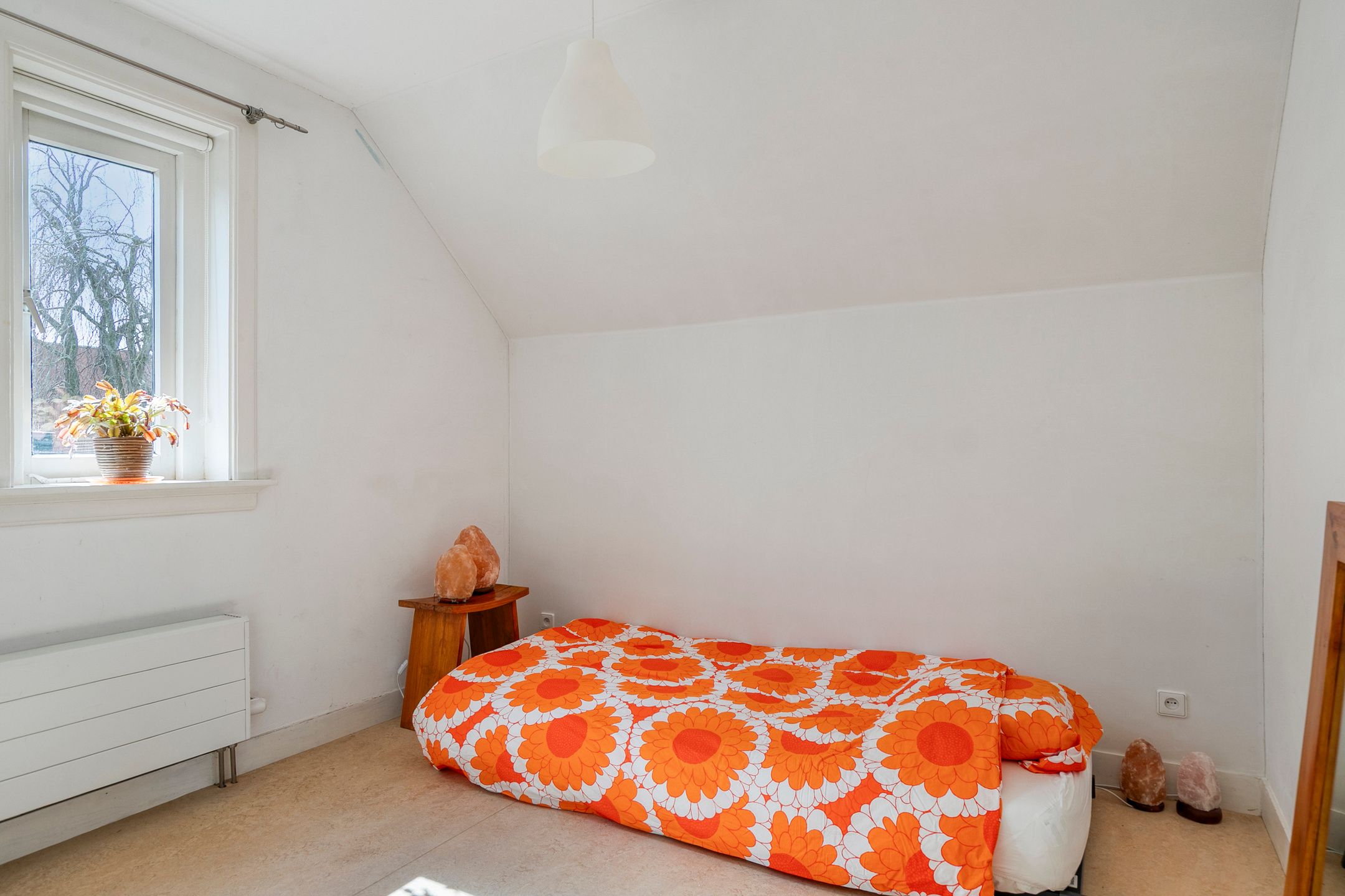 Foto 30 van Snelliuslaan 24