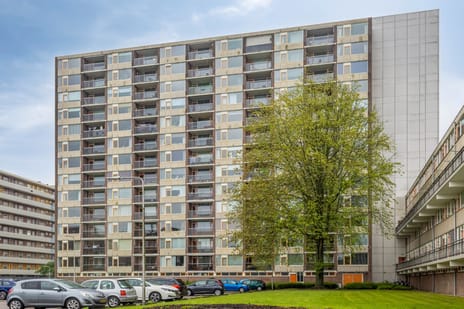 Monteverdilaan thumbnail