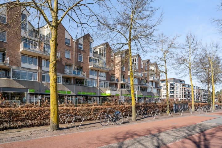 Foto 2 van De Wiek 79