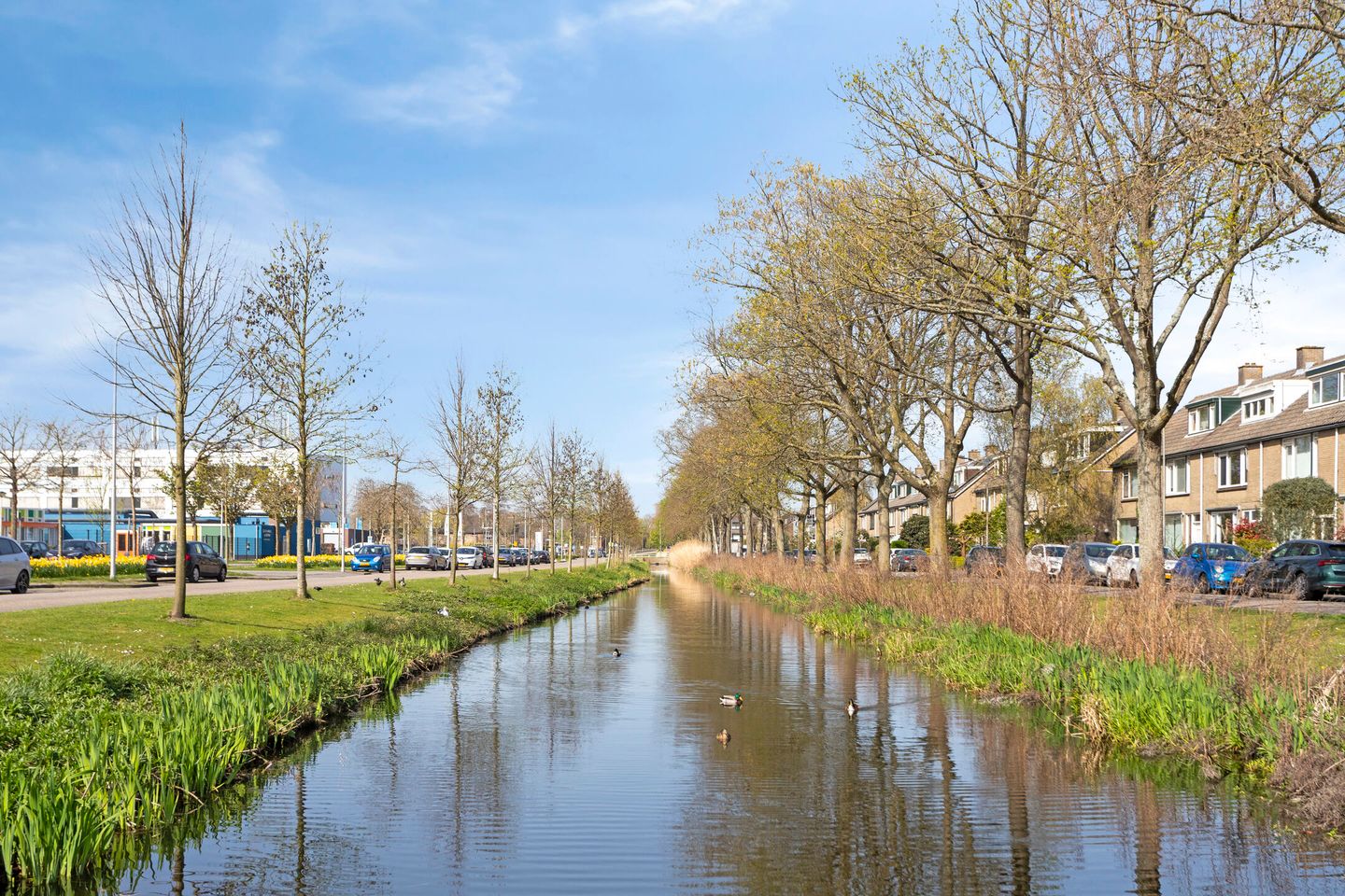 Photo 49 of Admiraal Helfrichsingel 32