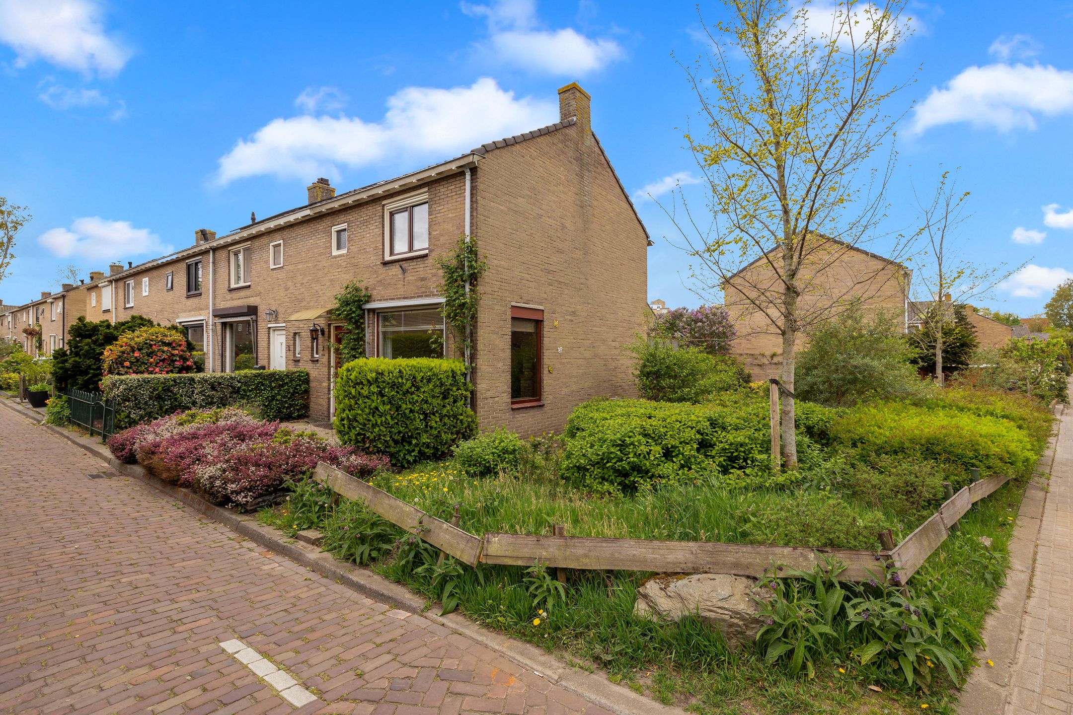 Foto 6 van Ribeslaan 6